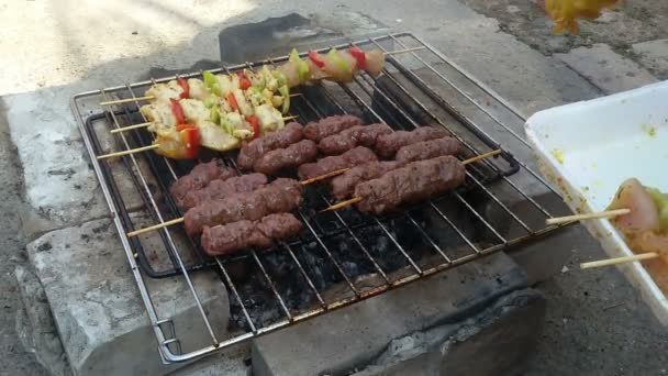 Grilling Kjøtt Grillmat Grillmat Naturen – stockvideo