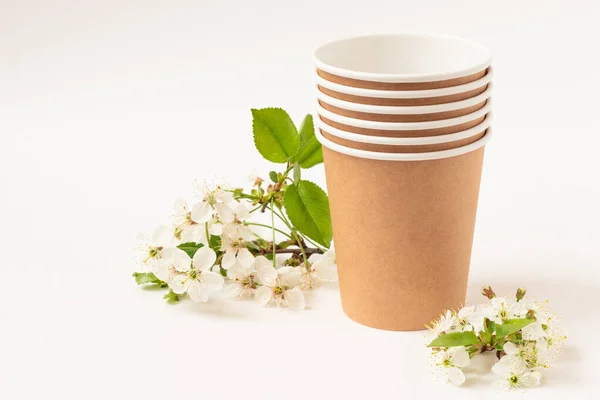 Çevre dostu kağıt tabaklar. Kadehler, kiraz çiçeği. Fast food için geri dönüşümlü sofra takımı. Uzayı kopyala Kapat..