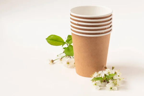 Çevre dostu kağıt tabaklar. Kadehler, kiraz çiçeği. Fast food için geri dönüşümlü sofra takımı. Uzayı kopyala Kapat..