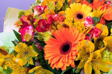 Bir buket çiçeğin içinde parlak sarı ve turuncu gerbera. Tatil için güzel bir buket hediye. Kartpostal olarak çiçek açan bitkiler..