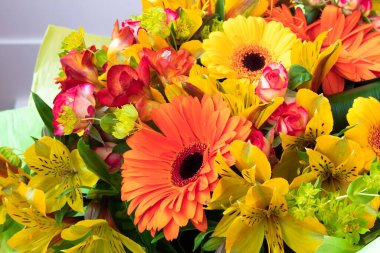 Bir buket çiçeğin içinde parlak sarı ve turuncu gerbera. Tatil için güzel bir buket hediye. Kartpostal olarak çiçek açan bitkiler..