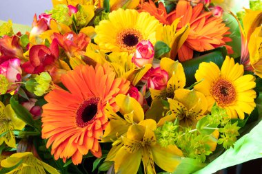 Bir buket çiçeğin içinde parlak sarı ve turuncu gerbera. Tatil için güzel bir buket hediye. Kartpostal olarak çiçek açan bitkiler..