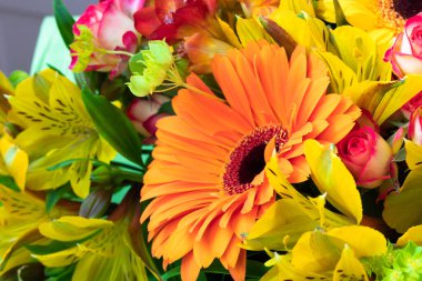 Bir buket çiçeğin içinde parlak turuncu gerbera. Tatil için güzel bir buket hediye. Kartpostal olarak çiçek açan bitkiler..