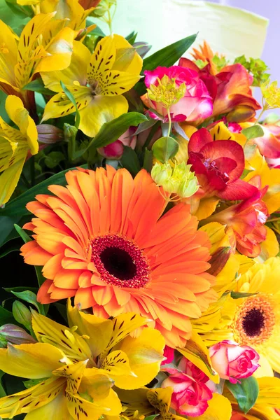 Bir buket çiçeğin içinde parlak turuncu gerbera. Tatil için güzel bir buket hediye. Kartpostal olarak çiçek açan bitkiler..