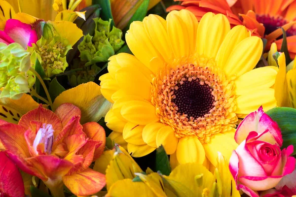 Bir buket çiçeğin içindeki parlak sarı gerbera. Tatil için güzel bir buket hediye. Kartpostal olarak çiçek açan bitkiler..