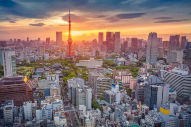 tokyo şehri.