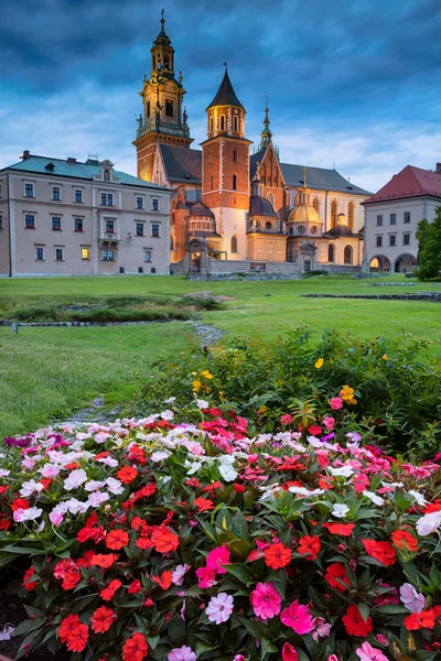 Hrad Wawel, Krakov. — Stock fotografie