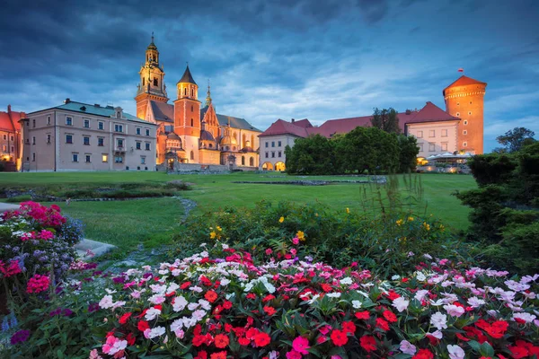 Hrad Wawel, Krakov. — Stock fotografie