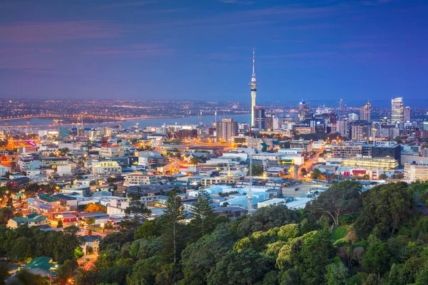 Auckland Obraz Pejzaż Panoramę Auckland Nowa Zelandia Zaczerpnięte Eden Zmierzchu — Zdjęcie stockowe