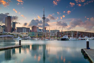 Auckland. Auckland manzarası, Yeni Zelanda gündoğumu sırasında Cityscape görüntü.
