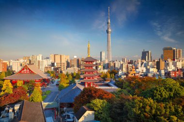 Tokyo mu? Japonya 'da güneşli bir sonbahar gününde Tokyo' nun gökyüzü manzarası.