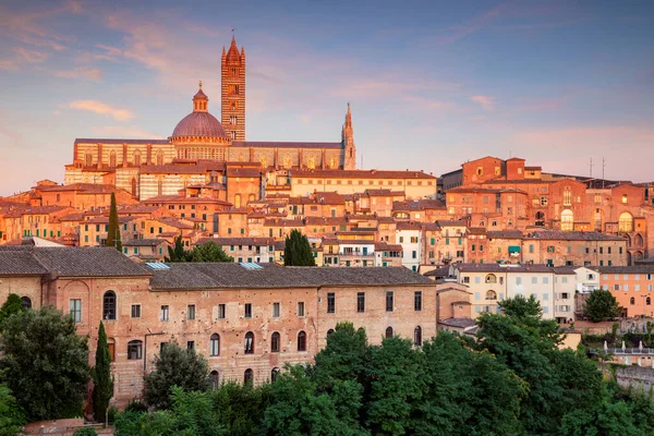 Sieny Aerial Cityscape Image Średniowiecznego Miasta Siena Włochy Podczas Zachodu — Zdjęcie stockowe