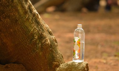 Su şişesi tutulur Tree yakınındaki