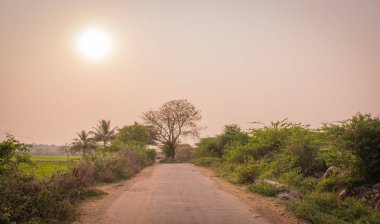 Hindistan yol Köyü tarafında Sunet