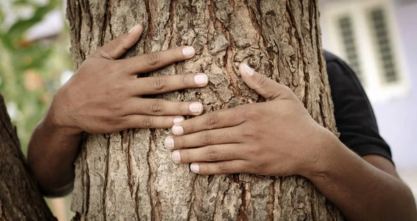 Concepto de movimiento Chipko o Chipko Andolan - Manos abrazando árbol mostrando de salvar árbol . — Foto de Stock