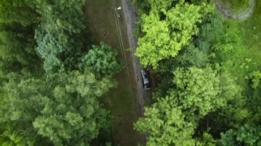 Ormandaki Bir Yol 4K Hava Görüntüsü