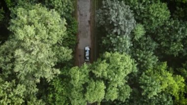 Akşamları alacakaranlıkta ormanda 4K 'lık havadan beyaz araba manzarası. Çam ağacı ormanlarında çakıl yolu üzerinde uçan insansız hava aracı görüntüsü.