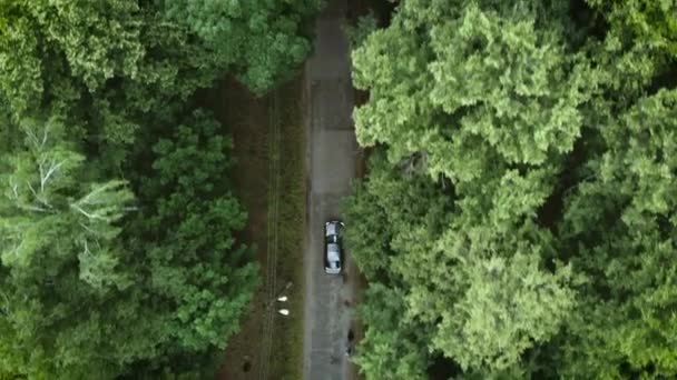 AÉRIAL, TOP DOWN : Voiture de couleur foncée conduisant sur une route asphaltée traversant la vaste forêt par une journée d'été ensoleillée. Les gens en promenade à travers les bois idylliques dans la campagne slovène pittoresque .