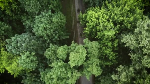 Aerial Shot Car Driving Road Tree Forest Drone Shot Gravel — Stock Video