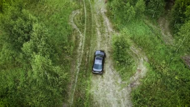 Aerial View Car Driving Summer Forest Road Scenic Summer Landscape — Stock Video