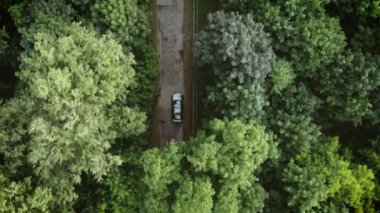 Tarlalar arasındaki yolda hava uçuşu. Sonbahar renkleri. Yeşil kırsal alan ve araba geçiyor. Beyaz bir arabanın arkasında ve yanında uçarken güneş parlayan yeşil doğaya rağmen