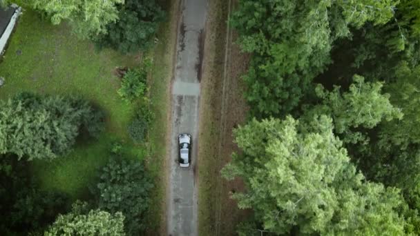 Aerial View Vehicle Road Leading Trough Beautiful Colorful Forest Sunny — Stock Video
