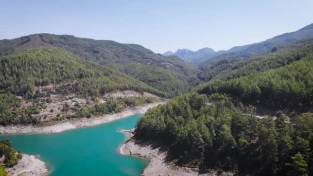 Mountain River Green Trees Stones Bank Aerial Bird Eye View — Stock Video