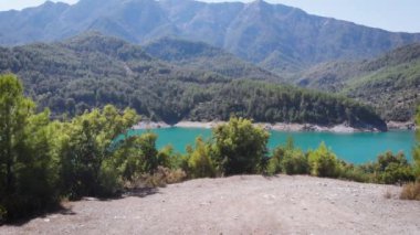 Dağ nehri boyunca uçan hava ve sık ormandaki köprü