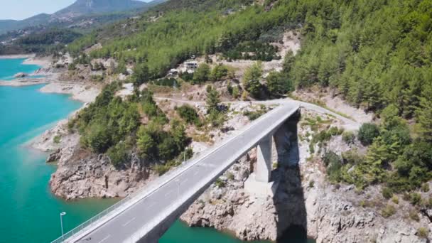 Vue Aérienne Imprenable Sur Forêt Montagne Vallée Rivière Avec Petit — Video