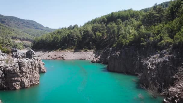 Aérial Vol Dessus Lac Avec Forêt Autour — Video