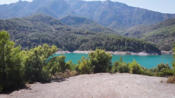 Vuelo Aéreo Largo Río Montaña Puente Denso Bosque — Vídeos de Stock