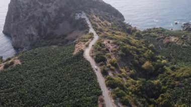 Eski iki şerit üzerinde uçan hava manzarası iki şeritli orman yolunda yeşil sık ağaçlardan oluşan yeşil ağaçları hareket ettiriyordu. Orman yolu boyunca araba sürüyor. Çam ormanından geçen bir araba..