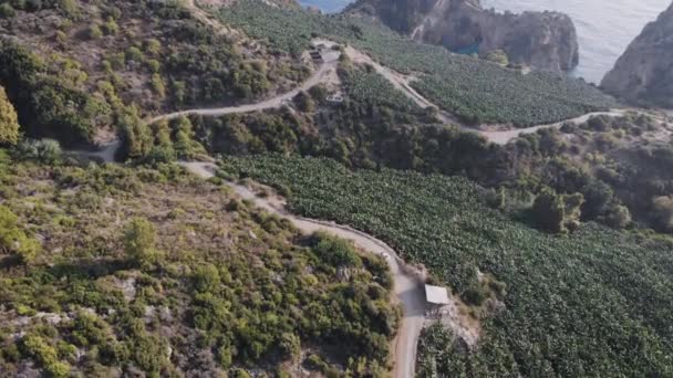 Vue Dessus Une Voiture Chevauchant Dans Les Bois Lors Journée — Video