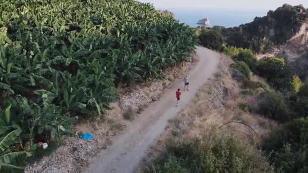 Bir Grup Turist Dağlarda Yürüyor — Stok video