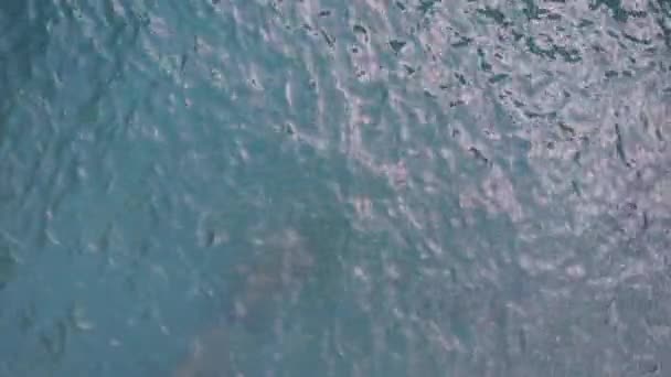 Bovenaanzicht Golven Breken Het Rif Een Blauwe Oceaan Zee Golven — Stockvideo