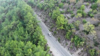 Yol üzerinde uçan hava manzarası, yeşil orman şeridi boyunca hareket eden araba. Orman yolu boyunca araba sürüyor. Çam ormanından geçen bir araba. Yukarıdan drone atışı