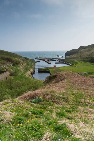 Lybster Harbour Caithness, İskoçya