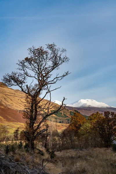 Nieve Cubierta Tierras Altas Escocesas Argyll Día Invierno Frío Brillante — Foto de Stock