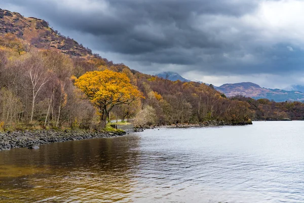 大气秋天的观点 Loch Lomond 苏格兰英国 背景是五彩斑斓的前景树和雪山 — 图库照片