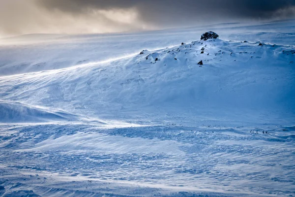 Sněhem Pokrytá Divočina Zimě Severovýchodní Island Časný Večer Nízkým Sluncem — Stock fotografie