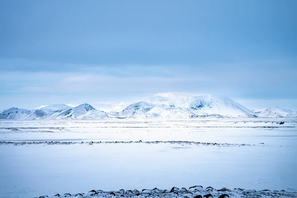 Сніг Покривав Гори Ісландський Вулканічний Ландшафт Взимку Біля Озера Міватн — стокове фото