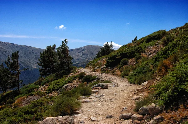 Berg skogen spår — Stockfoto