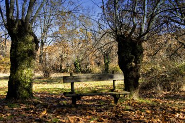 Ispanya 'da sonbahar manzarası