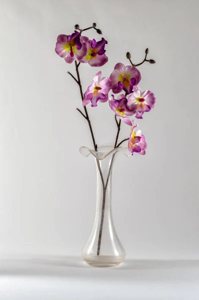 Vaso com orquídeas — Fotografia de Stock