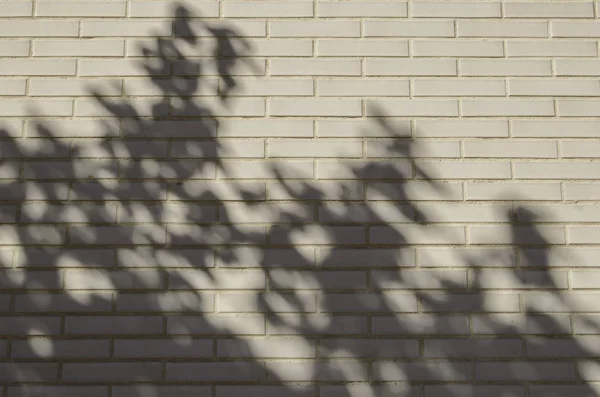 Стена с тенями — стоковое фото