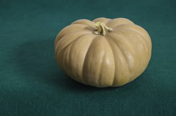 Calabaza sobre fondo verde —  Fotos de Stock