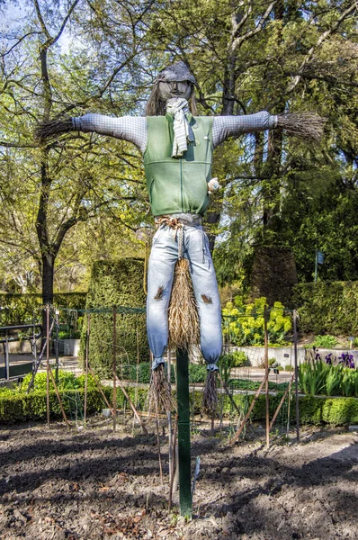 Espantapájaros Espantapájaros Real Jardín Botánico Madrid España —  Fotos de Stock