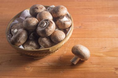 Bir kase mantarlı ve bir tane de ağaçta izole edilmiş.