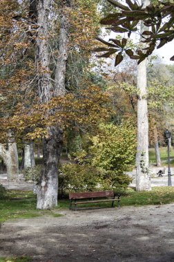 Madrid 'deki Retiro parkında ağaçlar ve ahşap banklar. İspanya