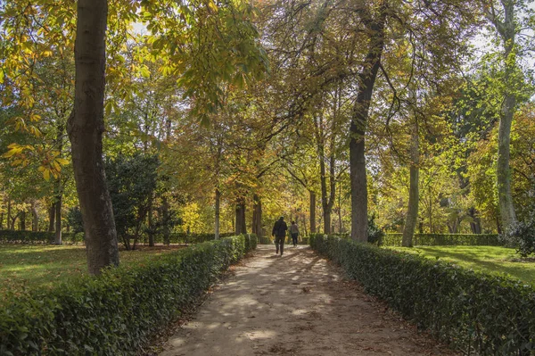 Uitzicht Tuinen Van Het Retiro Park Madrid Spanje — Stockfoto